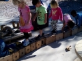 10685491_557186774415477_4045354826138895264_n